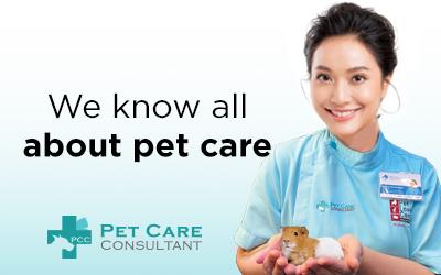 #1: We know all about pet care