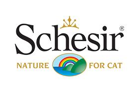 Schesir