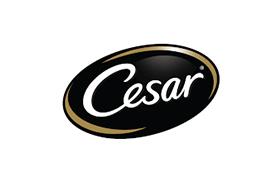 CESAR®