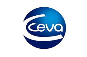 Ceva