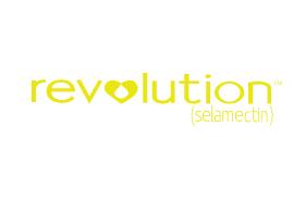 Revolution