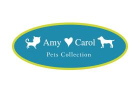 Amy N Carol 
