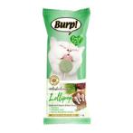 WHISKERLICIOUS FREEZE DRIED LOLLIPOP - CHICKEN AND BARLEY SPROUT (CAT) 1.4g TR0229894