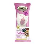 WHISKERLICIOUS FREEZE DRIED LOLLIPOP - CHICKEN AND BLUEBERRY (CAT) 1.4g TR0229895