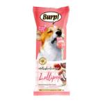 WHISKERLICIOUS FREEZE DRIED LOLLIPOP - CHICKEN AND CRANBERRY (DOG) 8g TR0229901