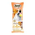 WHISKERLICIOUS FREEZE DRIED LOLLIPOP - CHICKEN AND PUMPKIN (DOG) 8g TR0229902