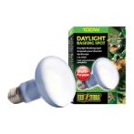 DAYLIGHT BASKING BULB 100W RCH0PT2133