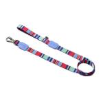 LEASH (VIOLET LIGHTS AND STRIPES) (LARGE) (DOG) (25mmx120cm) ID08922
