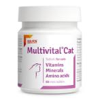 MULTIVITAL VITAMINS MINERALS AMINO ACIDS (CAT) (90pieces) DPS0190037EN