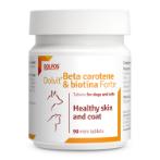 DOLVIT BETA CAROTENE & BIOTIN FORTE HEALTHY SKIN AND COAT (DOG AND CAT) (90pieces) DPS0135037EN