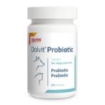 DOLVIT PROBIOTIC/ PREBIOTIC (DOG AND CAT) (60pieces) DPS01850040EN