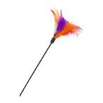 TICKLER TEASER WITH FEATHERS (CAT) (45cm) BT0430420