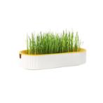 HYDROPONIC CAT GRASS TRAY (CAT) (21x9.2x4.5cm) AIC0GT001YEL