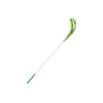 CAT TEASER - FOXTAIL GRASS (GREEN) (CAT) (55cm) AIC0CT300GRN