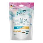 PREBIOTIC CRACKER 100g BN12156