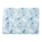 FLANNEL MAT - POLAR BEAR (BLUE) (MEDIUM) (63x4x2cm) AIC0M050MPB