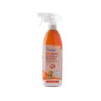 STAIN & ODOUR REMOVER - SUMMER ZEST 750ml BY0SKU143A