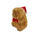 CHRISTMAS WISHES CAPYBARA (SMALL) (18X13X11cm) IDS0WB34732V2