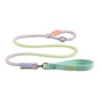 GRADIENT TRACTION P-ROPE ANTI PULL LEASH (GRADIENT GREEN) (DOG) (MEDIUM) (10mmx150cm) AIC0L021M