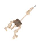 HANGER TRUNK (BROWN)(BIRD) (12x7x25cm) FP0108607