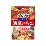 GRANOLA WITH FRUITS FOR HAMSTERS 40g ML517