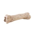 DINOSAUR BONE (18.5x5x5cm) RCH0PT2842