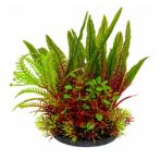 AQUATIC PLASTIC PLANT  18cm 7 inches PPQ741