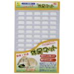 PLASTIC RECTANGLE PLATFORM WD772