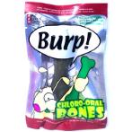 CHLORO ORAL BONES 40g (1pc/pkt) CT04