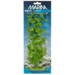 CARDAMINE - LARGE 12 INCH PP1205