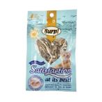 DRIED MINI FISH 12g (GOURMEOW BITES) BW/XB-002