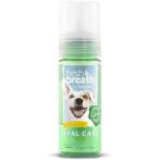 FRESH BREATH MINT FOAM 4.5oz (133ml) FBFOAM