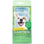 FRESH BREATH CLEAN TEETH GEL KIT 4oz (118ml) FBGELKIT