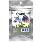 AIR DRIED PUMPKIN SEED 12g BW/AD094