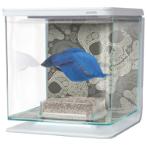 BETTA TANK - SKULL 13349