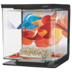 BETTA TANK - SUN SWRIL 13350