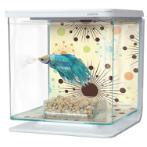 BETTA TANK - FIREWORK 13353