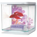 BETTA TANK - FLOWER 13355
