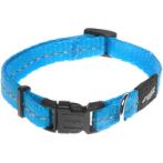 UTILITY CLASSIC COLLAR - (TURQUOISE) (DOG) (SMALL) (20-31cm) RG0HB14F