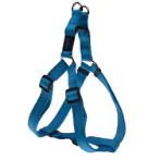 UTILITY STEP IN HARNESS - TURQUOISE (MEDIUM) RG0SSJ11F