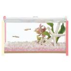 QB WIDE - PINK GX025128