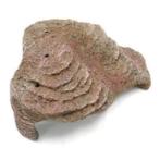 TURTLE ISLAND - MEDIUM GX022400