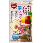 HAND FEEDING FRUITS MIX FOR SMALL ANMALS 45g MR681