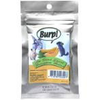 AIR DRIED SWEET HONEYDEW MELON 12g BW/AD247