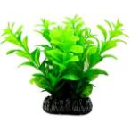 AQUATIC PLANTS MEDIUM - 7 NAP366
