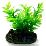 AQUATIC PLANTS SS - 4 NAP303