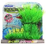 LITTLE GARDEN - 1 NAP500
