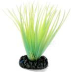 LUMINOUS PLANT NIGHT MEDIUM - 1 NAP220