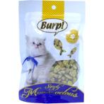 CAT BISCUITS - CATNIP FLAVOR 50g (GOURMEOW BITES) BWFWC20631
