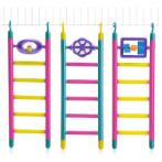 LADDER PARAKEET 6 STEPS BT010244